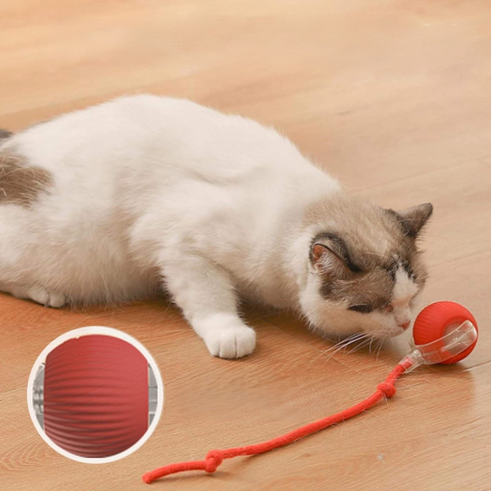 PELOTA INTERACTIVA CON LUCES PARA MASCOTA