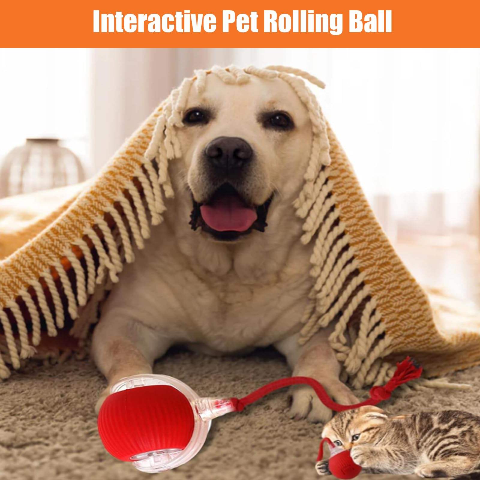 PELOTA INTERACTIVA CON LUCES PARA MASCOTA